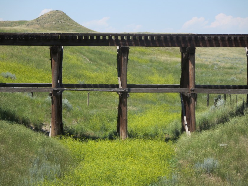 DAE74243-9422-41C0-9F41-37A71369FF95