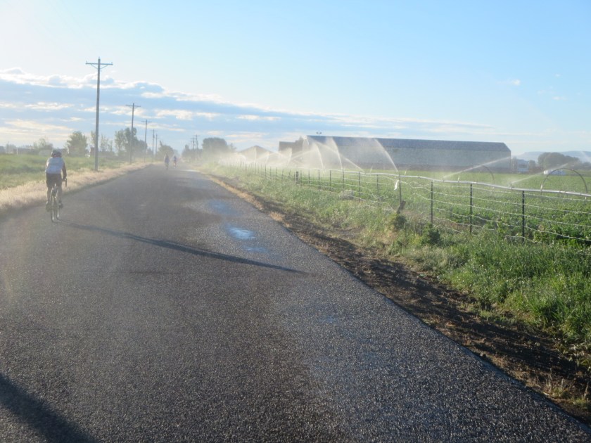 F0EBC527-6B05-491A-959A-E123687ADC3B