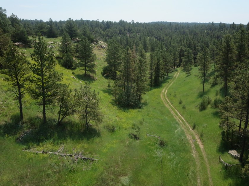 F5A6508A-4394-4FAA-AF93-E84680457261