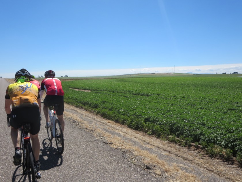 F6AC97DA-500D-4B5B-9CDA-C7E7F53E8B27