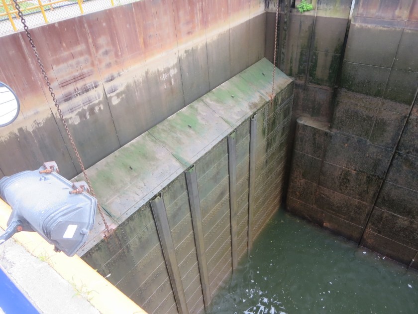 17F87E03-E91F-4A36-B9A0-AE2AEE459D21