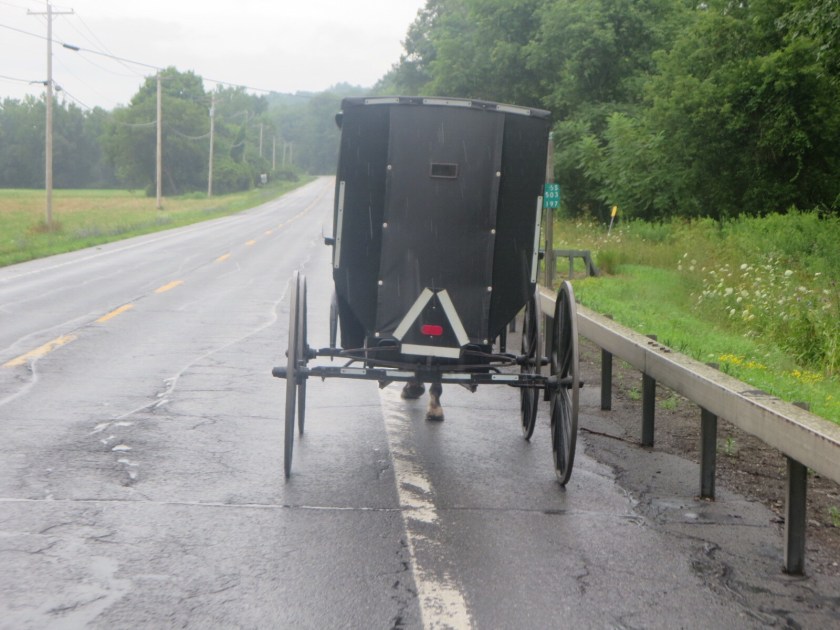 873A5478-1F74-42EF-8D2D-FA7E1FBEB714