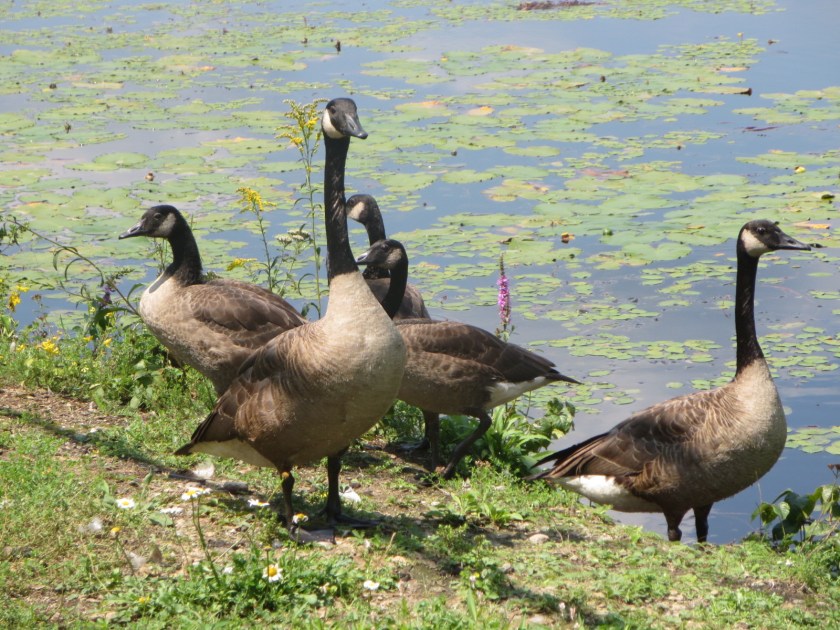 C495F69D-BA9E-44D1-B6FE-B7AA572A3B75