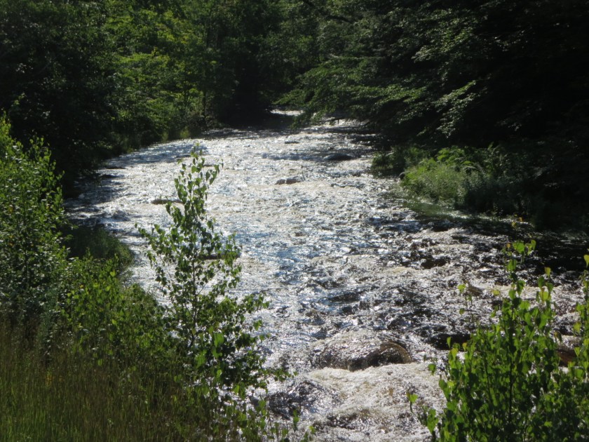 CF3CCA67-7D38-4C8C-8A62-B2C88F9B9DE0