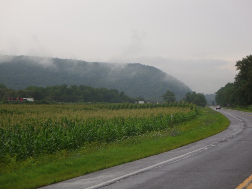 E47C24AF-3850-4CD6-BB14-6F901C2A8922