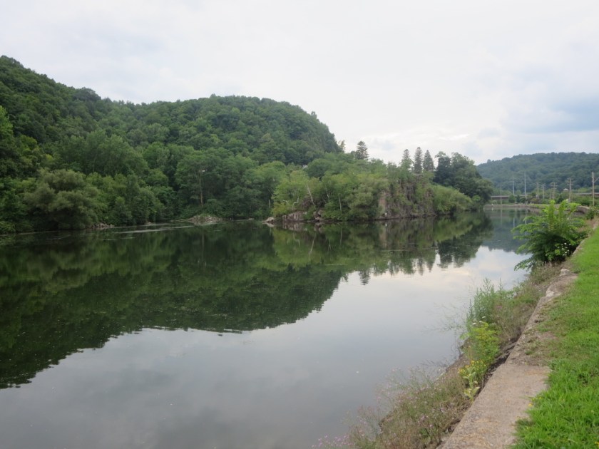 F502D9E1-4926-40AC-9CB8-643B1BA24113