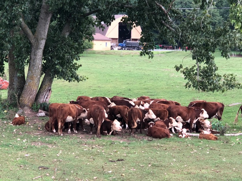 3A114C94-C5DD-4061-91BA-F6119DC1D1B1