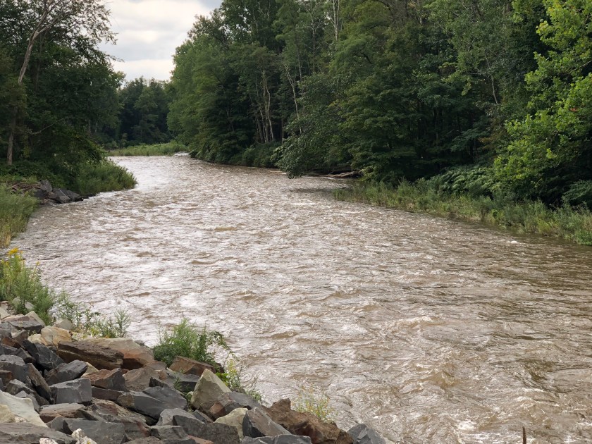 648357DB-817B-4F04-9B72-4515AD731F5B