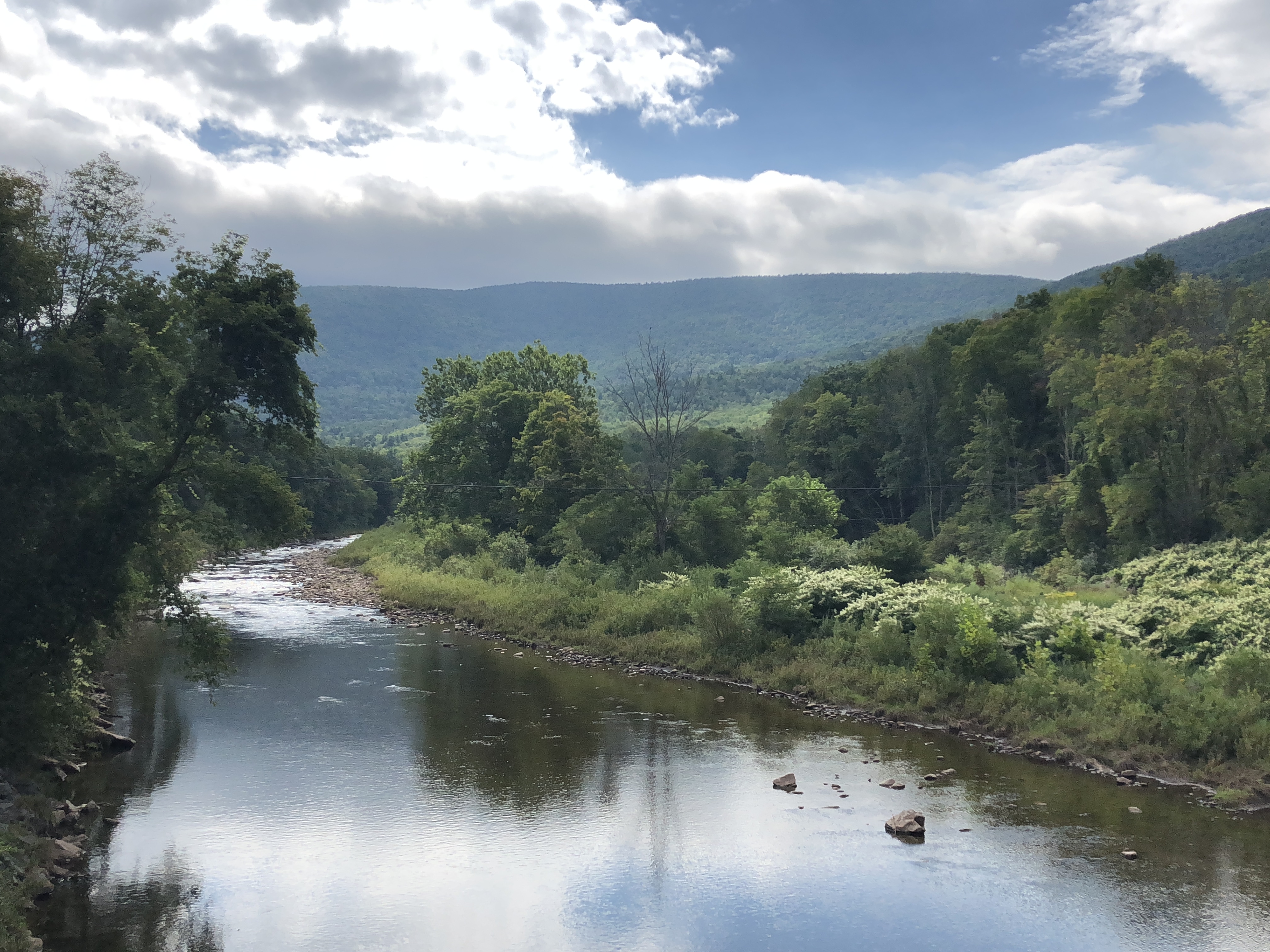 B5697B9B-3927-42F9-A4B4-2DEECB62A280