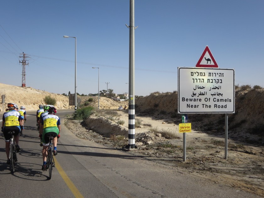 1902BBD3-44CD-46B3-9783-219262ECD6D4