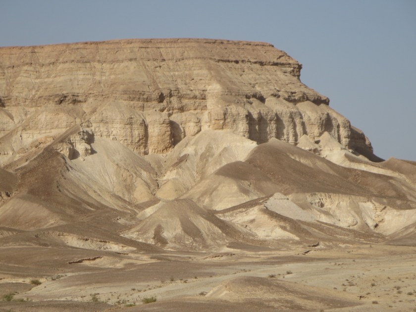 3C332CB5-DB08-48E0-89E6-1FB43C750938