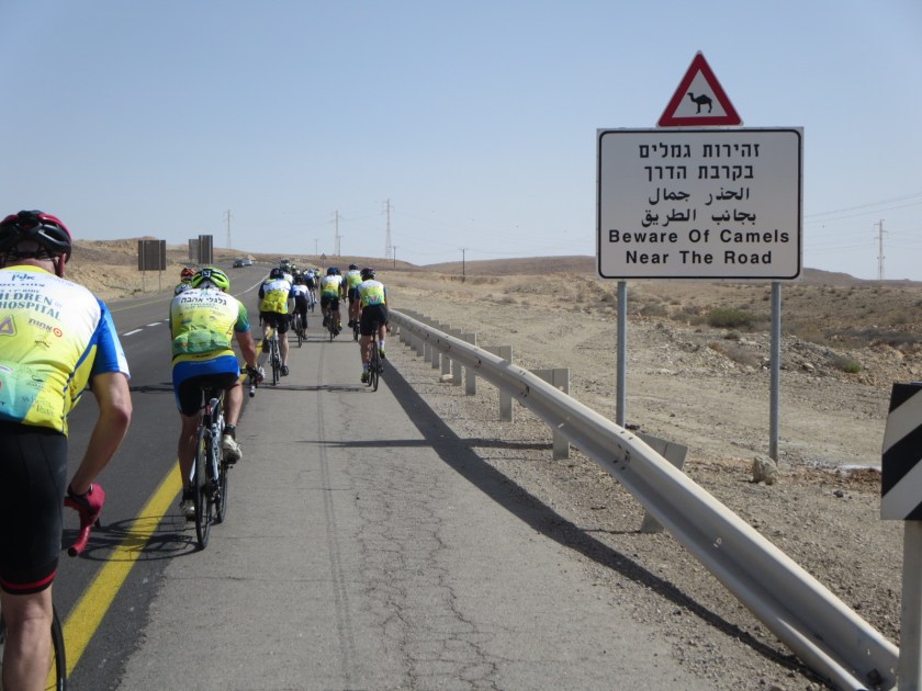 6D1B733C-3AC8-42C9-9197-1EAE21ECC2D3