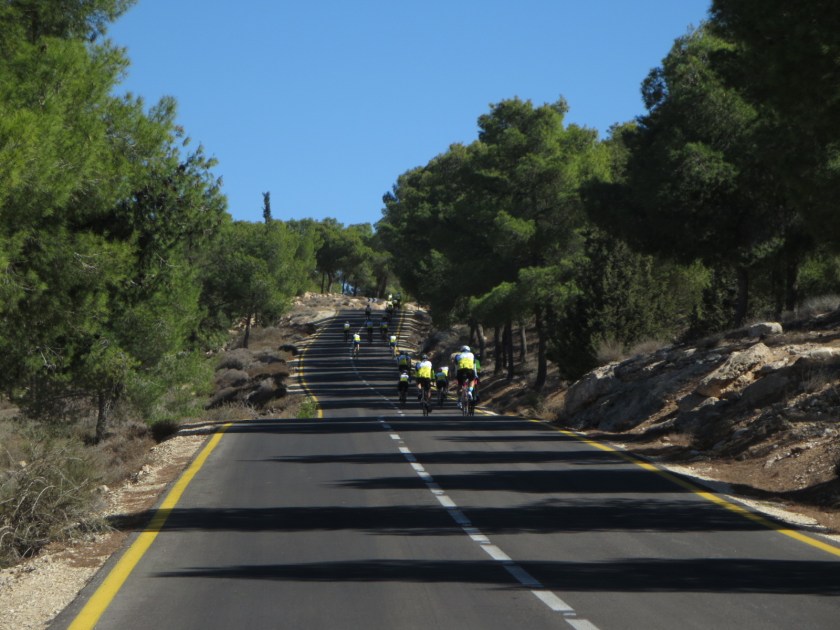 9D152EF5-CCB5-4C4E-8834-F1AAD89DD547