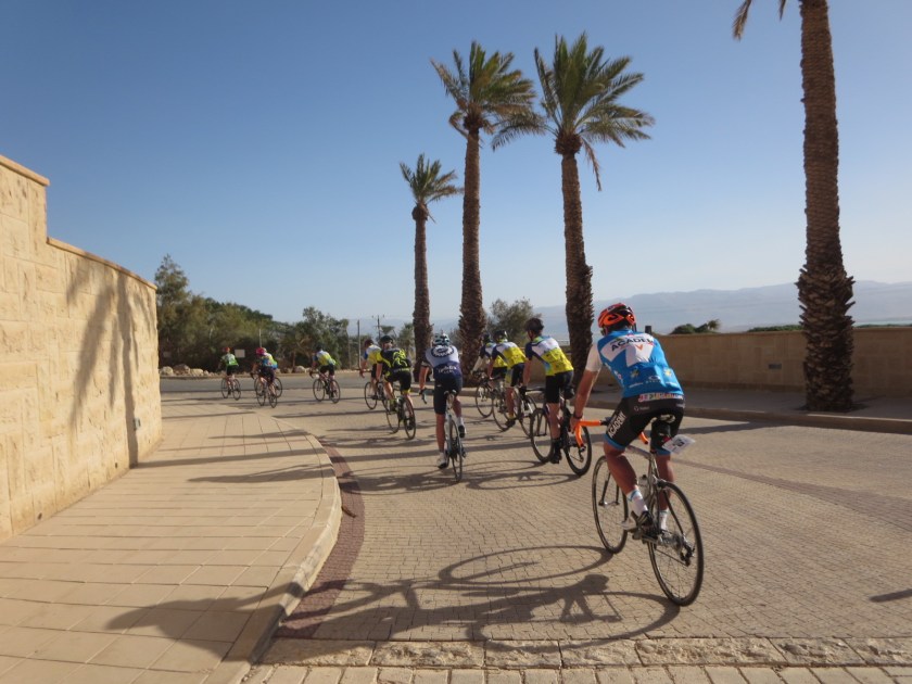 9F952262-1441-4B1C-AC96-98D616A671E7