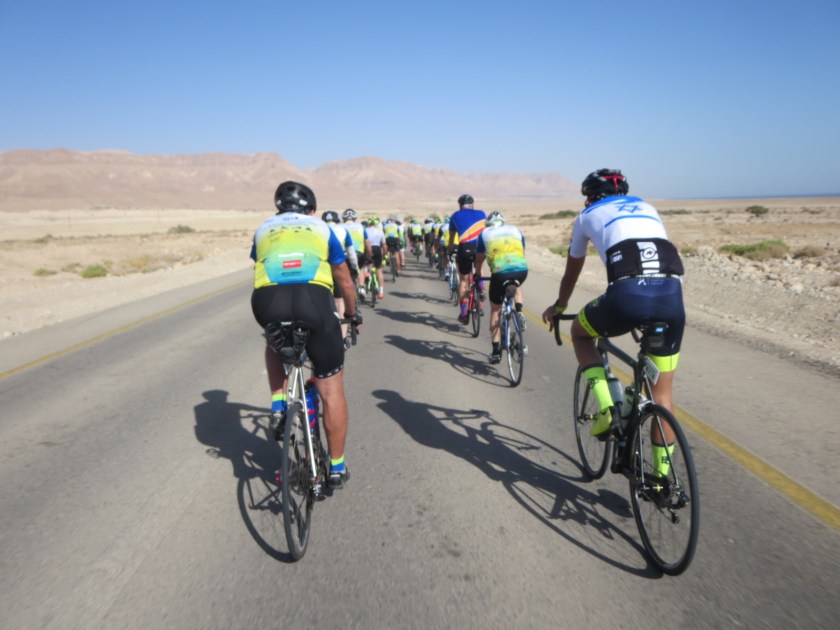 E134B12D-01D4-4B23-BF96-1FED5539B675