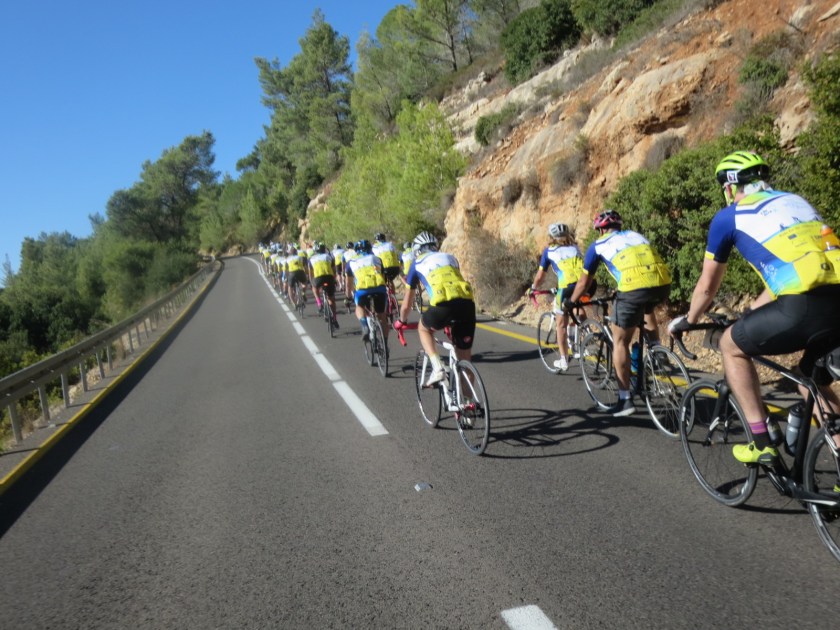 D70A2BB5-18CA-4AF5-A46E-68C516241DF0